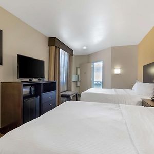 King Room Roll Shower Mobility Accessible